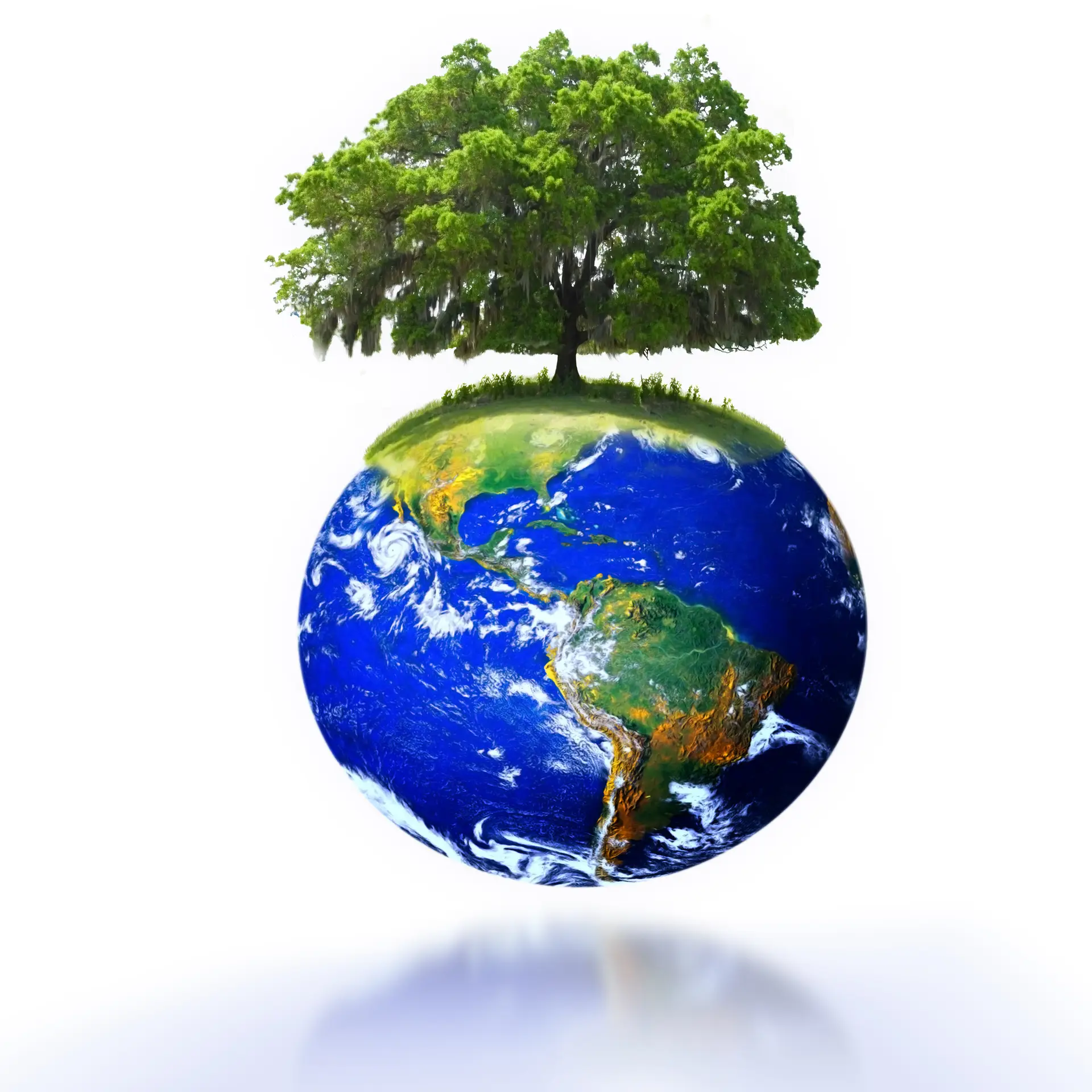 Holistic Behavioral Solutions Logo