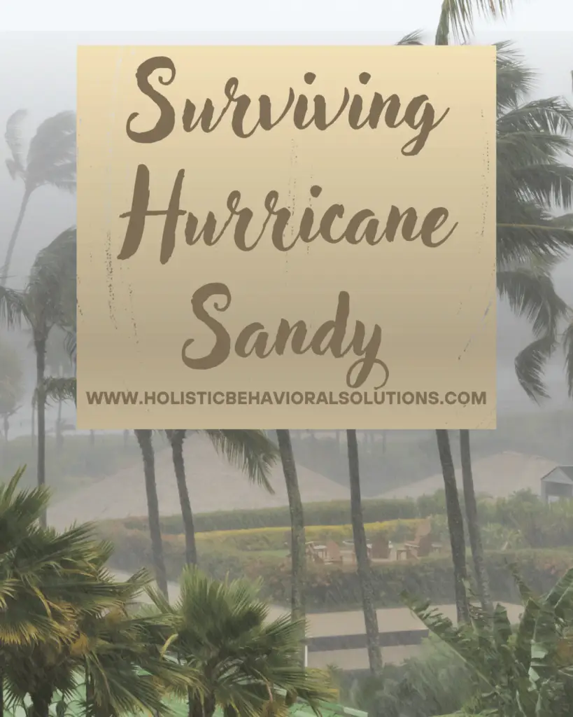 Surviving Hurricane Sandy