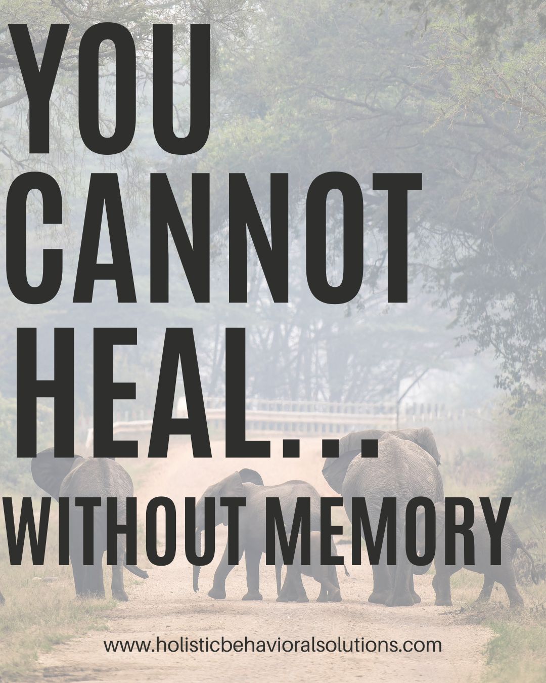 Black mental health ancestral healing